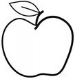 Apple - Year 8 Health issues facing young people assignment help