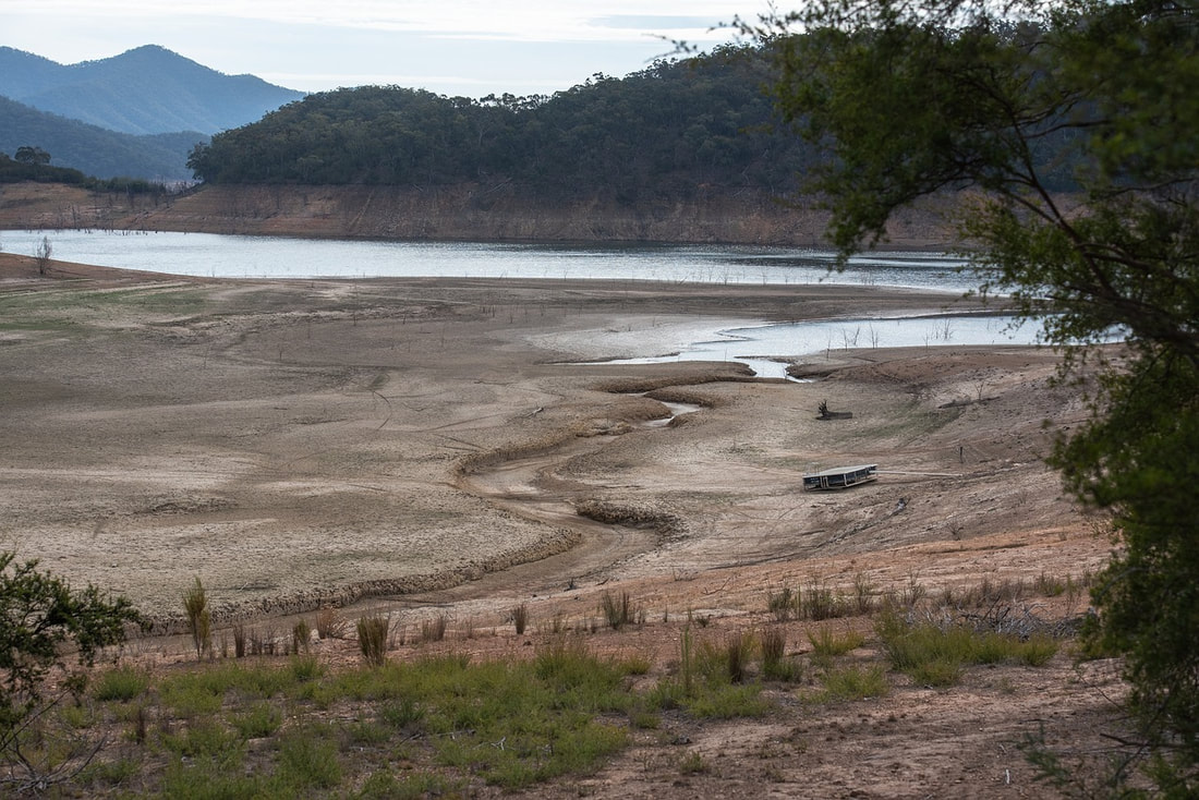 Drought-affected landscape