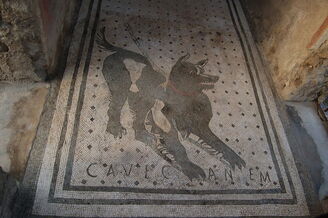 Beware of the dog mosaic at Pompeii