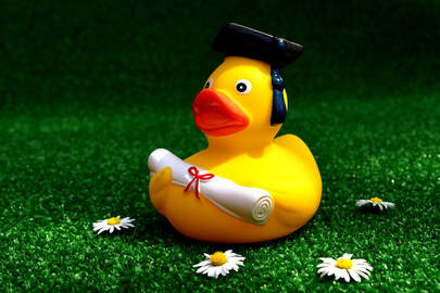 Graduand rubber duck