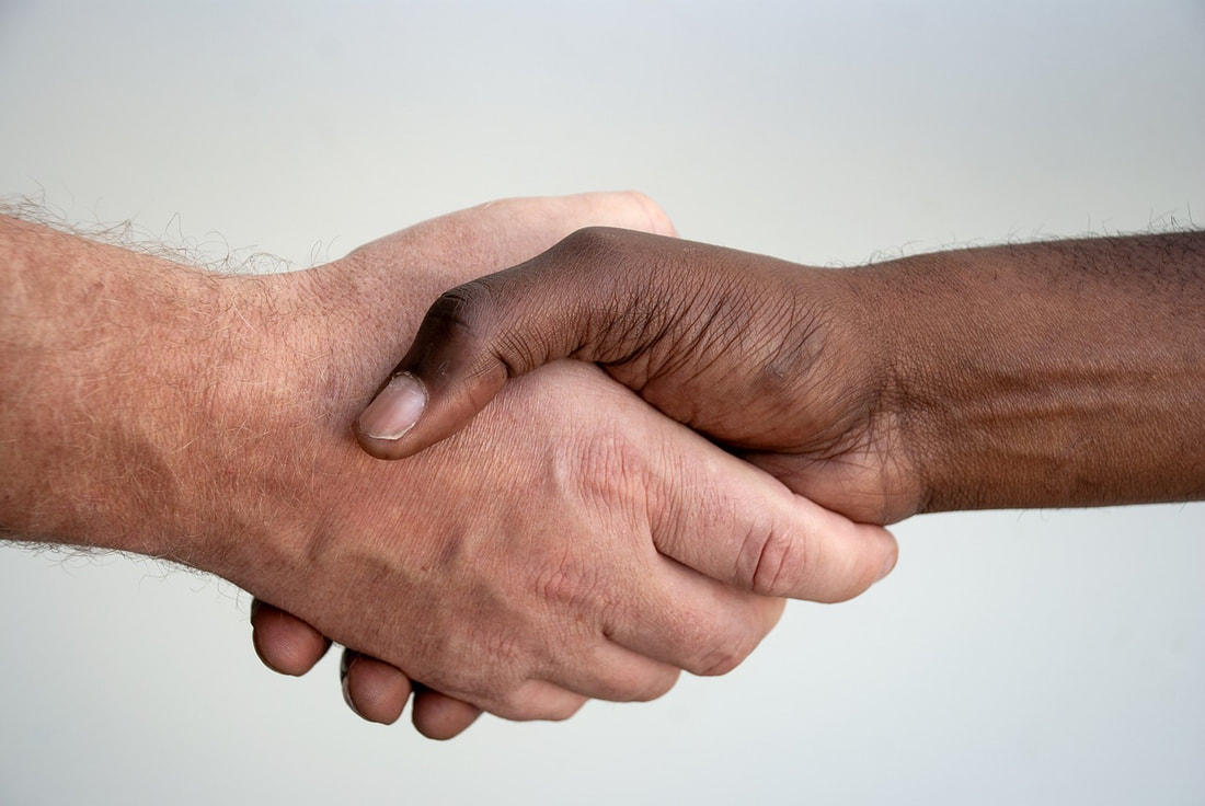 Handshake between black hand and white hand