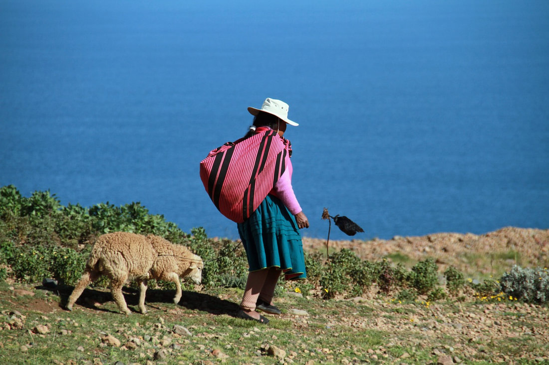 Peruvian woman with sheep