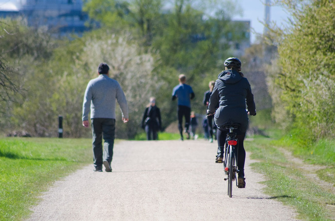 People walking and cycling in a park