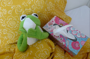 Kermit in bed with a box of tissues