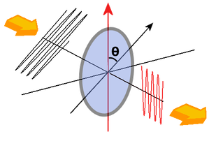 Diagram demonstrating Malus' law
