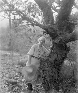 Margaret Preston in 1936