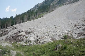 Landslide down a mountain